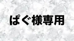 ぱぐ様専用