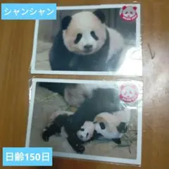 Item thumbnail for item 51452b4f-e3d0-4e07-a8c0-12a3c680d49f