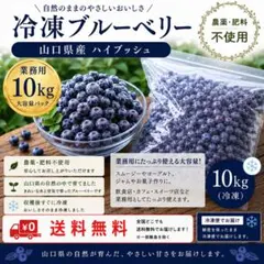 返礼品 ブルーベリー小粒500g 農薬不使用野菜コンパクト便 - メルカリ