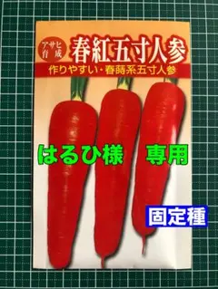 はるひ様　リクエスト3点　おまとめ商品