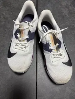 Item thumbnail for item 49ee8189-8958-4b4c-8079-cf25e19fadaf