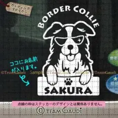 ボーダーコリー No.6　名前入 カッティングステッカー ドッグインカー　シール
