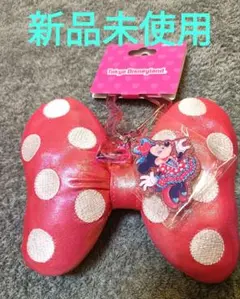 ミニーのファンダーランド キーチェーン