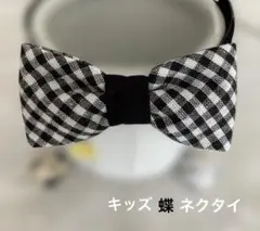 Item thumbnail for item 33c31a79-2304-4a46-93ad-7f9122ccc6d3