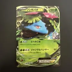 フシギバナEX PROMO プロモーションカード 233/XY-P - メルカリ