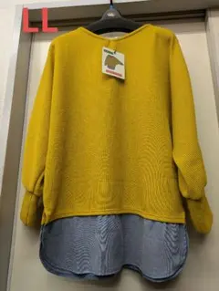 Item thumbnail for item 3cda50cd-420f-4e7e-9d30-06b8d65c06a6