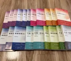 社労士　２０２５　まとめ売り みんなが欲しかった! 社労士全科目横断総まとめ 2025年度版