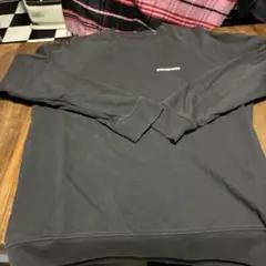 パタゴニア スウェット