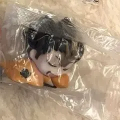 ハイキュー!! 西谷夕 田中龍之介 セット