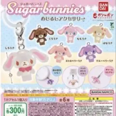 SKZOO SECRET MINI CHARM 本国ペンミ コンプ スキズ - メルカリ
