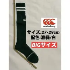 Item thumbnail for item 9d120d36-8e3b-41da-b9f4-36af71504c7a