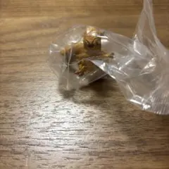 お*松様 デジャリックホロチェス　ガチャガチャ　スターウォーズ