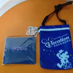 東京ディズニーリゾートのエコバッグとポーチ