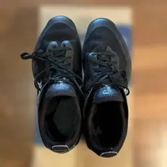 バスケットボールシューズ25.5センチ