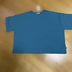 Samansa Mos2 ミント Tシャツ フリーサイズのサムネイル