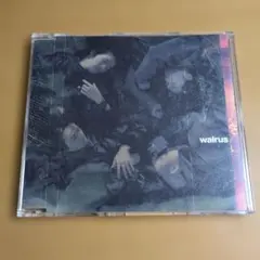 Walrus / 空(から)の心 Kara no kokoro Shoegaze