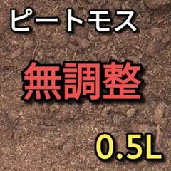 Sentaro様 リクエスト 2点 まとめ商品