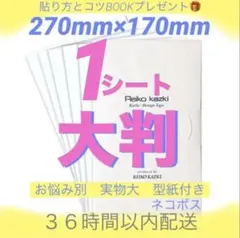 かづきれいこデザインテープ大判タイプ☆270㎜×170㎜×1枚☆型紙・説明