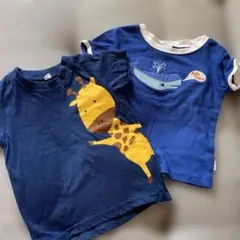 キリン80とクジラ70のTシャツセット