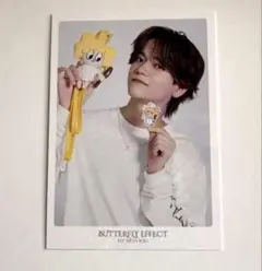 中島颯太 シクレ フォトカード BUTTERFLY EFFECT