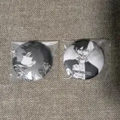 叶 藍 アニメイト 特典 缶バッジ 14点 🌟#叶 さん🌟 2/25 発売 『叶/1st full album「藍」』 ご予約受付中