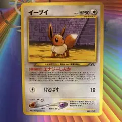 イーブイ_プレミアムファイル2 PROMO 第2世代（☆neo・☆VS・☆we