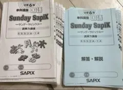 小学6年生向けのSAPIX国語教材セット SAPIX 小学6年 国語 デイリー&春期&GS＆夏期セット 2023年度版