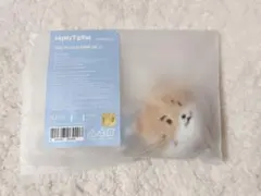 SEVENTEEN MINITEEN デコバンド CHANDALEE - メルカリ