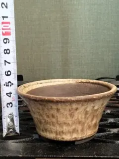 2026年最新】たけろうポット 鉢の人気アイテム - メルカリ