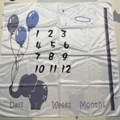 シーイン・マンスリーフォト・グッズ