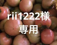 rii1222様　専用