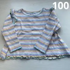 長袖　100センチ