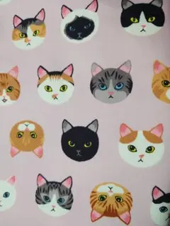 猫の顔デザイン　オックス生地　１ｍ　今日限定値下げ
