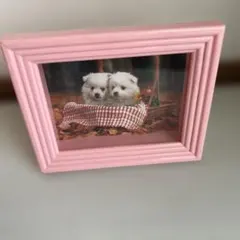강아지 창틀 포토 프레임 핑크 쇼와 레트로
