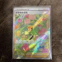 ポケモンカード ナタネの活気SAR
