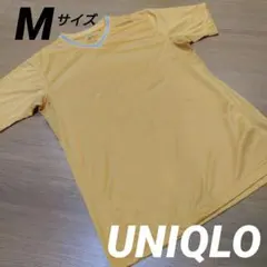 vネックtシャツ