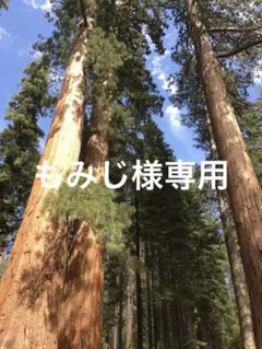 2025年最新】あおむし 音声ペンの人気アイテム - メルカリ