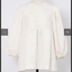 Item thumbnail for item c84ecfc3-36b2-4f7d-9335-3e37ca47ff09