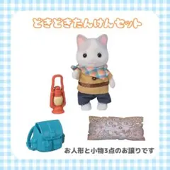 どきどき探検セット ラテネコきょうだい ラテネコの男の子 小物