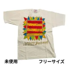 JOETSU KOKUSAI カラフルTシャツ フリーサイズ