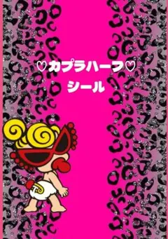 カプラハーフ シール 3枚セット ヒスミニ