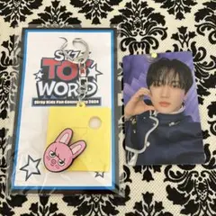 【新品・未開封】スキズ　TOYWORLD　キーホルダー　トレカセット　チャンビン