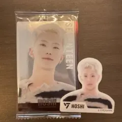 SEVENTEEN グミ・ウエハース HOSHI