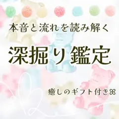 深掘り鑑定 ꕤ 霊感タロット