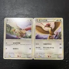 ポケモンカード オニスズメ オニドリル L1 進化ライン