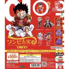 ワンピの実 第一海戦 ルフィ