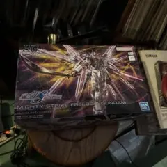 ガンプラ mg
