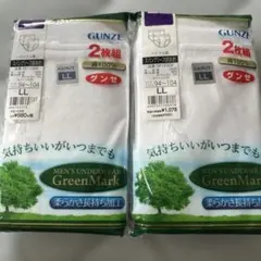 GUNZE グンゼ　ブリーフ　ＬＬサイズ