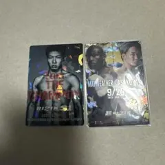 RIZIN ポテトスティック2枚セット