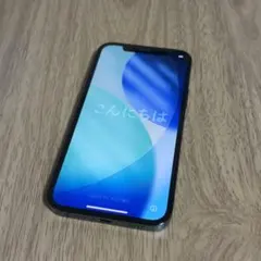 【美品】iPhone 12 Pro 256GB（パシフィックブルー）SIMフリー